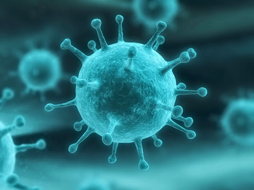 Condiloma Dr. Xavier Obando Coloproctólogo en Quito